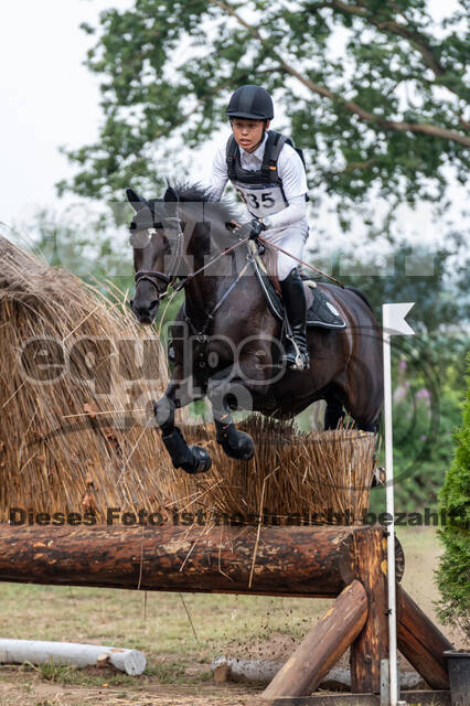 De Peelbergen (August 2020)