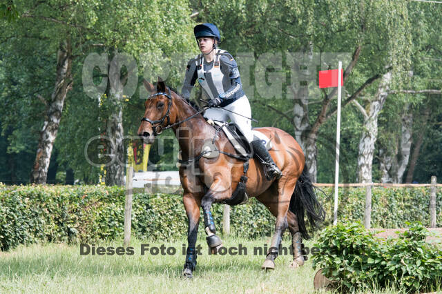 Vielseitigkeitsturnier RFV Bad Honnef