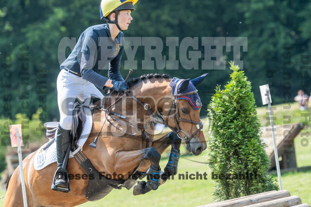 Goldene Schärpe 2021 - Ponys