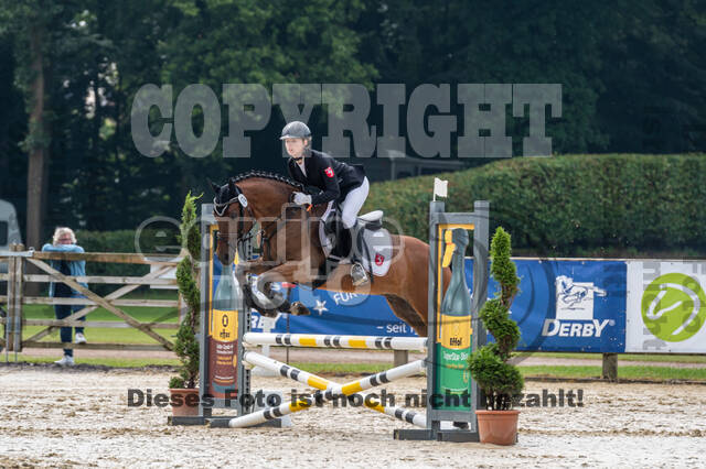 Goldene Schärpe 2021 - Ponys