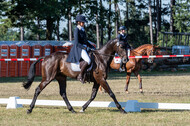 Kronenberg - De Peelbergen (August 2020)