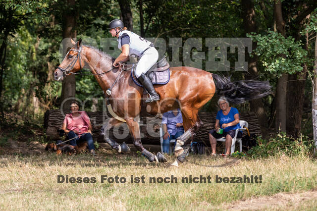 Late-Entry Vielseitigkeit Hamminkeln/Wesel (01.+02.08.2020)