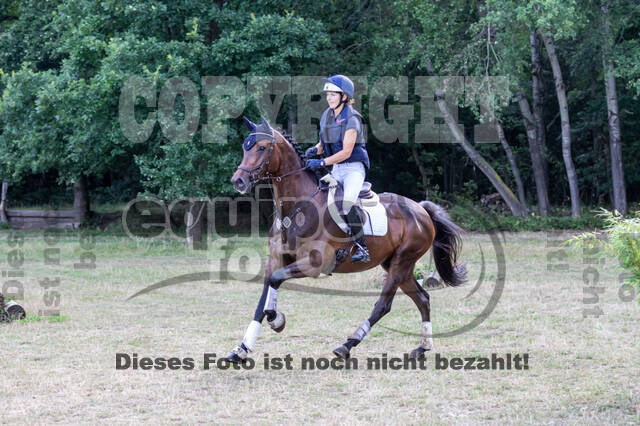 Late-Entry Vielseitigkeit Hamminkeln/Wesel (01.+02.08.2020)