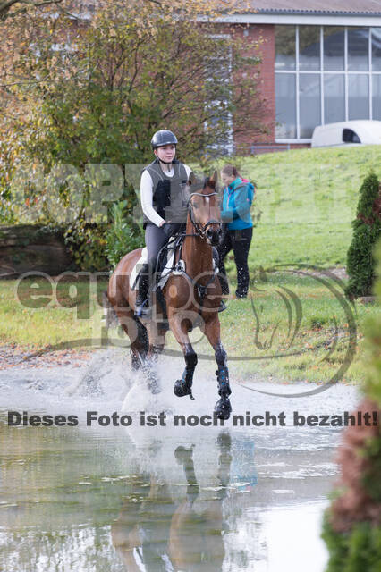 IGV Lehrgang der Sieger der Cups mit Frank Ostholt
