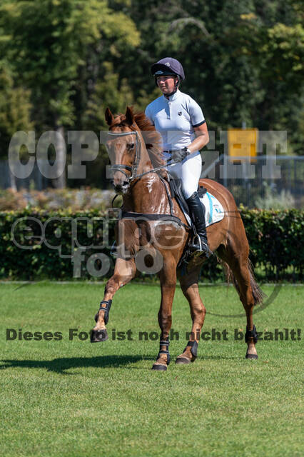 Kronenberg - De Peelbergen (August 2020)