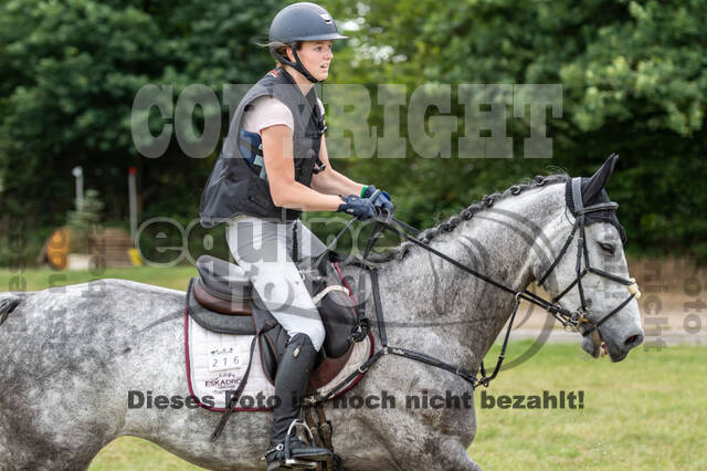 Late-Entry-Vielseitigkeit Langenfeld (11.+13./14.06.2020)