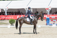 FEI European Championship