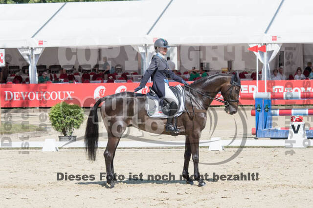 FEI European Championship