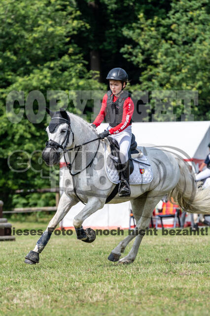 Goldene Schärpe 2021 - Ponys