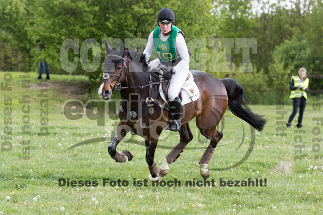 Sterne über Münster 2019 - CCI***S