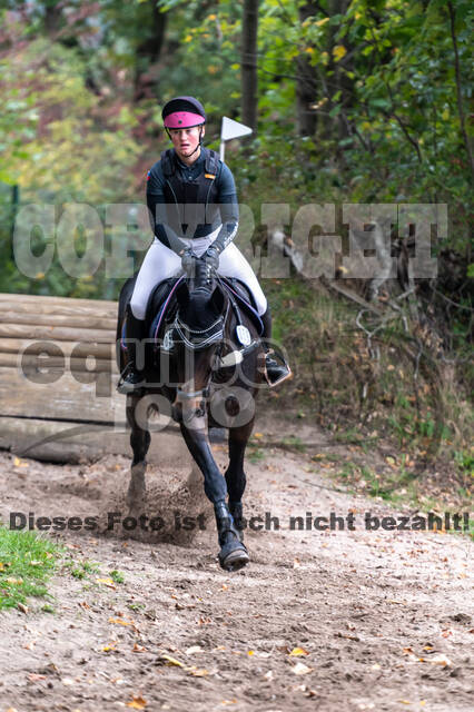 Goldene Schärpe 2020 - Pferde