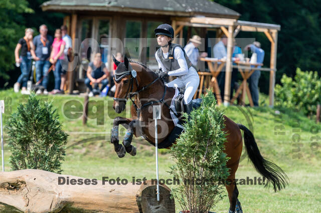 Goldene Schärpe 2021 - Ponys