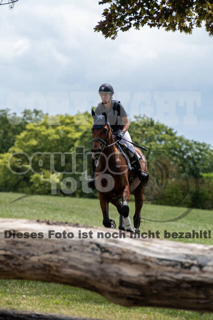 Bonn-Rodderberg Late-Entry-Vielseitigkeit (30.06.2020)
