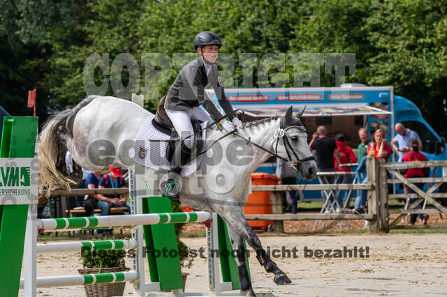 Goldene Schärpe 2021 - Ponys