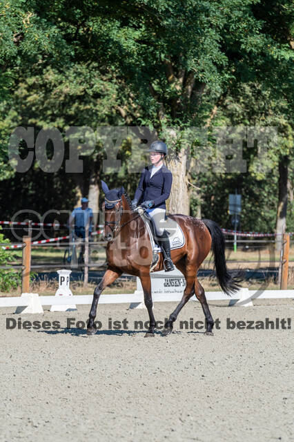 Kronenberg - De Peelbergen (August 2020)