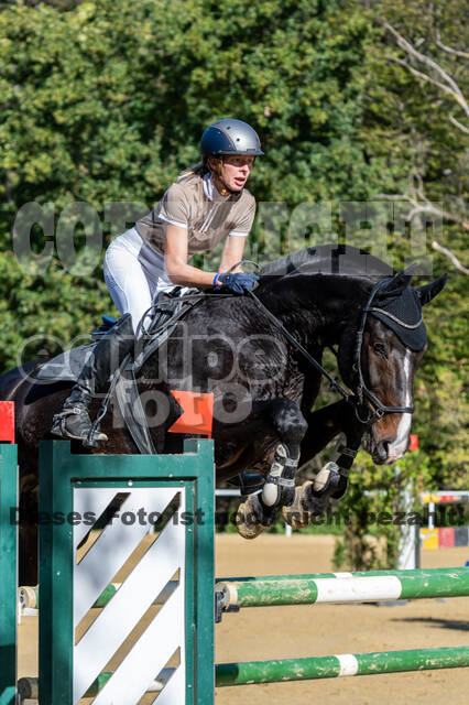 RFV Dinslaken-Hiesfeld (Herbstturnier)