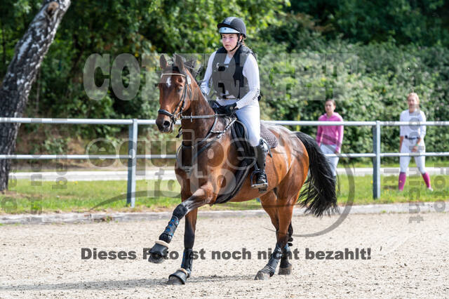 Late-Entry-Vielseitigkeit Langenfeld (11.+13./14.06.2020)