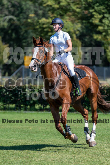Kronenberg - De Peelbergen (August 2020)