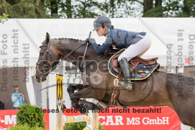 FEI European Championship