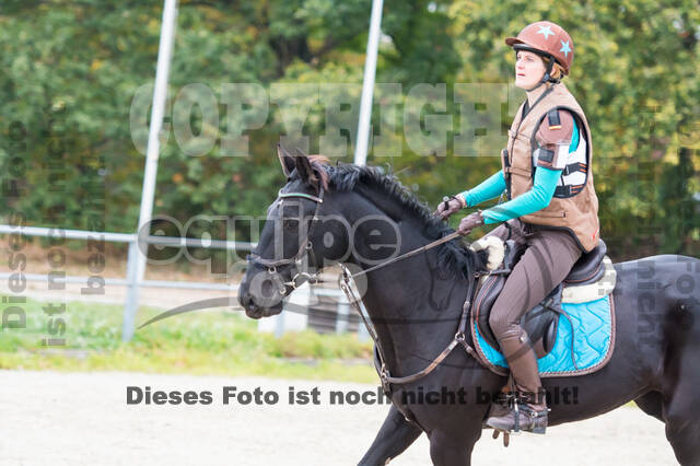 Training Tholi Tour