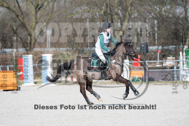 Eventing Langenfeld 2018