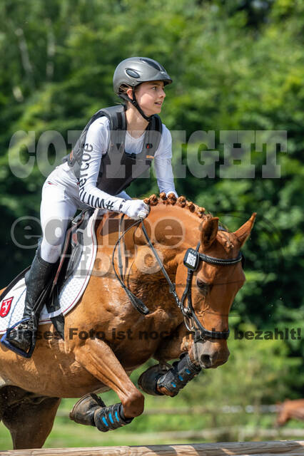 Goldene Schärpe 2021 - Ponys