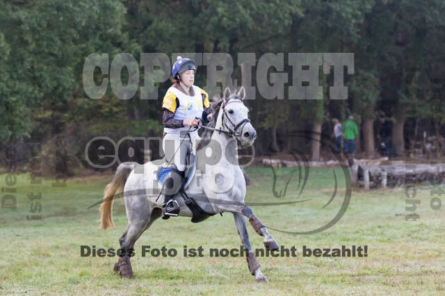 Vielseitigkeitsturnier RSV St. Hubertus Wesel Obrighoven