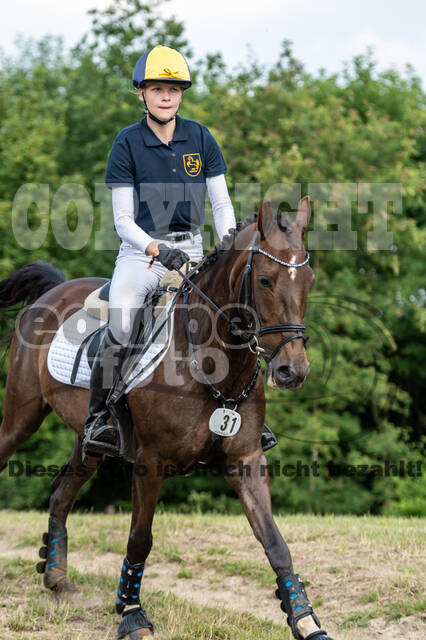 Goldene Schärpe 2021 - Ponys
