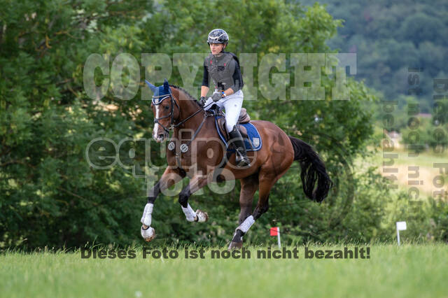 Bonn-Rodderberg Late-Entry-Vielseitigkeit (30.06.2020)