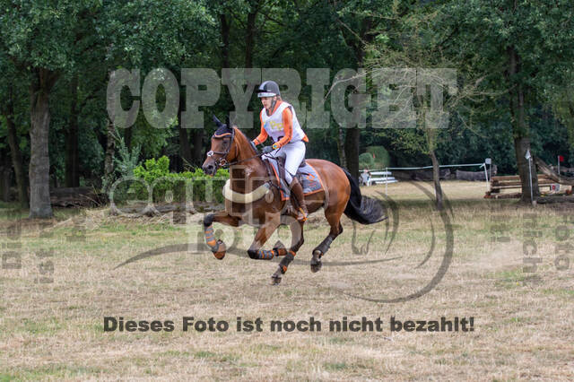 Late-Entry Vielseitigkeit Hamminkeln/Wesel (01.+02.08.2020)