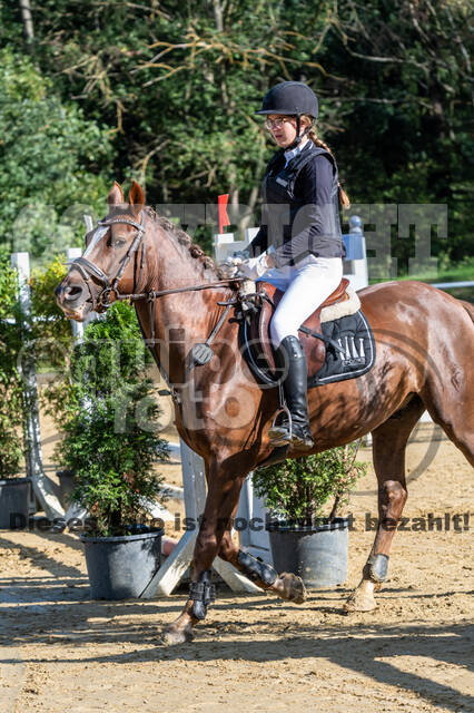 RFV Dinslaken-Hiesfeld (Herbstturnier)