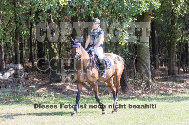 Vielseitigkeitsturnier RSV St. Hubertus Wesel Obrighoven