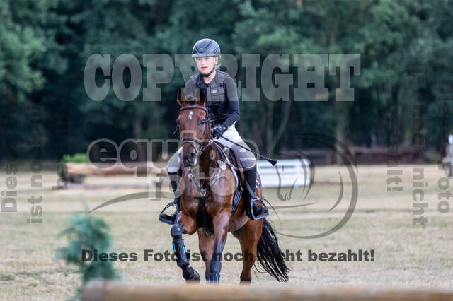 Late-Entry Vielseitigkeit Hamminkeln/Wesel (01.+02.08.2020)