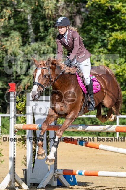 RFV Dinslaken-Hiesfeld (Herbstturnier)