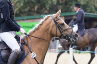 IGV Kleve