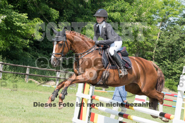 Vielseitigkeitsturnier ZRuFV von Lützow Hamminkeln