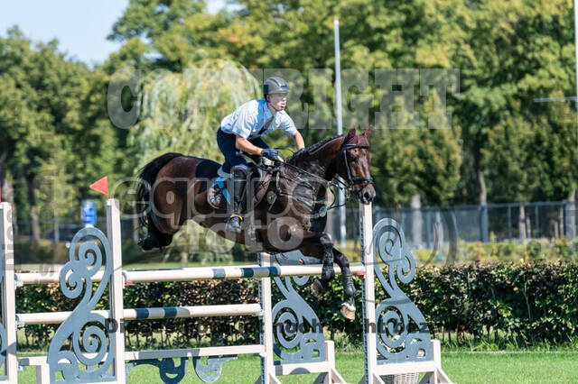 Kronenberg - De Peelbergen (August 2020)