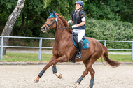 Late-Entry-Vielseitigkeit Langenfeld (11.+13./14.06.2020)