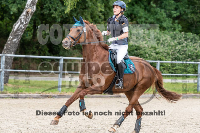 Late-Entry-Vielseitigkeit Langenfeld (11.+13./14.06.2020)
