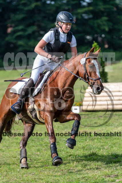 Goldene Schärpe 2021 - Ponys