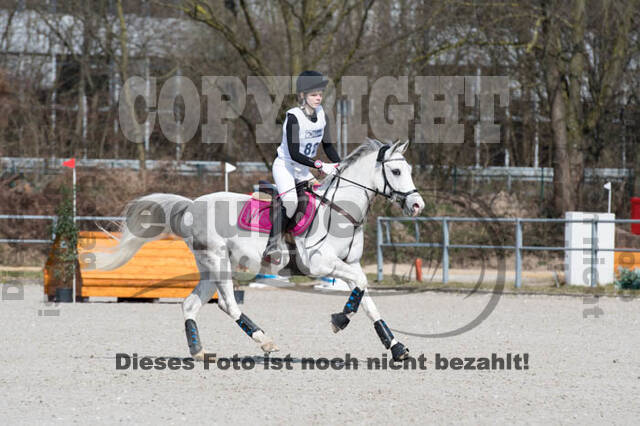 Eventing Langenfeld 2018