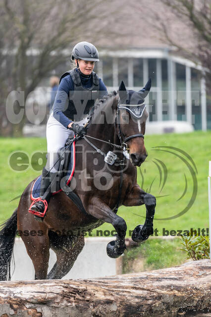 Goldene Schärpe 2020 - Pferde