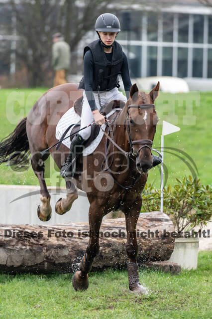 Goldene Schärpe 2020 - Pferde