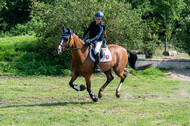 Goldene Schärpe 2021 - Ponys