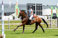 Kronenberg - De Peelbergen (August 2020)