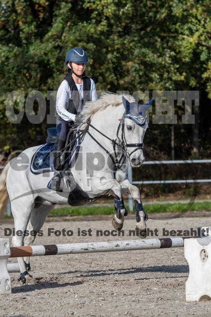 IGV Lehrgang der Sieger der Cups mit Frank Ostholt