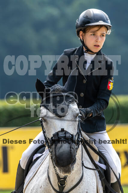 Goldene Schärpe 2021 - Ponys