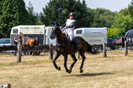 Late-Entry Vielseitigkeit Hamminkeln/Wesel (01.+02.08.2020)