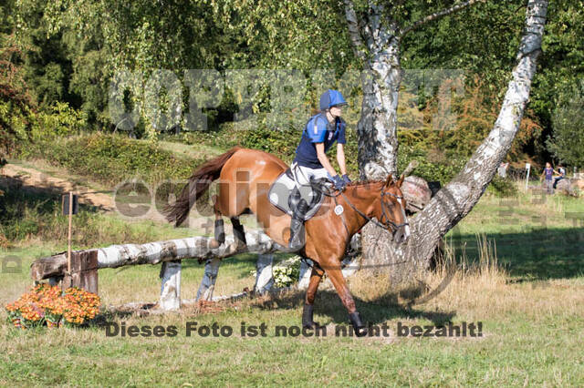Vielseitigkeitsturnier RSV St. Hubertus Wesel Obrighoven