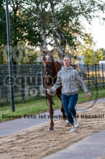 Deutsche Meisterschaft Vielseitigkeit (Luhmühlen)